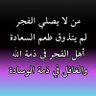 النسر العربي's profile picture