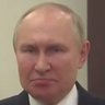 Displeased Putin's profile picture