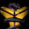 Kobe Forever's profile picture