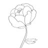 luna_marsmellow 的头像