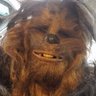 Chewie's profile picture