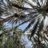 علي's profile picture