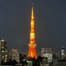 🗼 的头像
