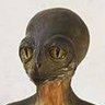 トロやん's profile picture