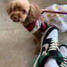 Фото профиля 👖👟むっぎー👟👖