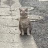 Фото профиля けんけん