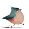 DOYLE's profile picture