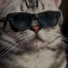 Profilbild von YoungHa