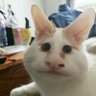Panela_depressao21 🥱's profile picture
