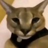 aliterasyon's profile picture
