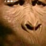 Luiz Miguel.'s profile picture