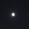 Tsuki🌕's profile picture
