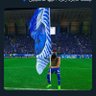 Profilbild von ali