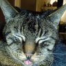 Valerie Favard's profile picture
