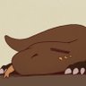 草木灰 ashthekomodo.bsky.social➡️furum profil fotoğrafı
