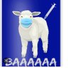 SeanED's profile picture