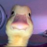 Micka cahuete's profile picture