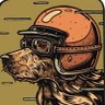 Topojunto profil fotoğrafı