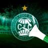Marcelo Coxa 的头像