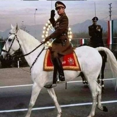 alirezay2k's profile picture