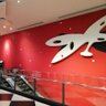 ヒヨコ DC in 日本武道館「ONE」参戦!! profil fotoğrafı