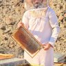 Profilbild von المحيط