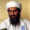 Desert Storm's profile picture