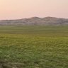 Фото профиля تميم