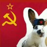 Profilbild von Camarada Conejo