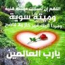 سبئية من سبأ's profile picture