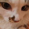 Barsik's ma's profile picture