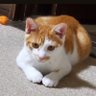 yumi profil fotoğrafı