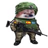 Profilbild von Jordbcn3