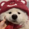🌈bbunny smile🌈's profile picture