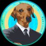 Junior Silva Solix's profile picture