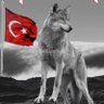 Фото профиля YANLIZKURT44