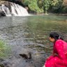 arpitha 的头像