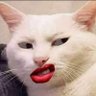 I Am A Cat That Sneers's profile picture