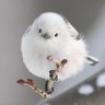 陽ちゃん profil fotoğrafı