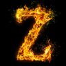 THE Z 的头像