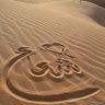 Profilbild von شعاع المطيري