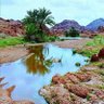Фото профиля ابو غيث