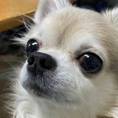momo_2160's profile picture