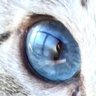 JUNe.N's profile picture