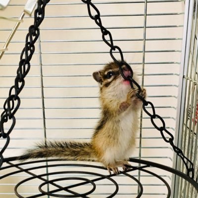 iANMeoL8C58Ivf5's profile picture