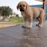 Y ..E profil fotoğrafı