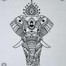 Curioukose's profile picture