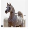 Фото профиля غالب محمد