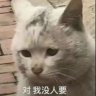 欲.子🌈's profile picture