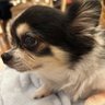 soichi's profile picture